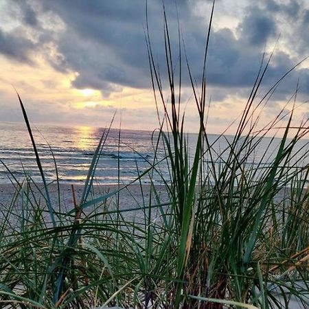 Gerves Apartamentai Palanga Exteriör bild